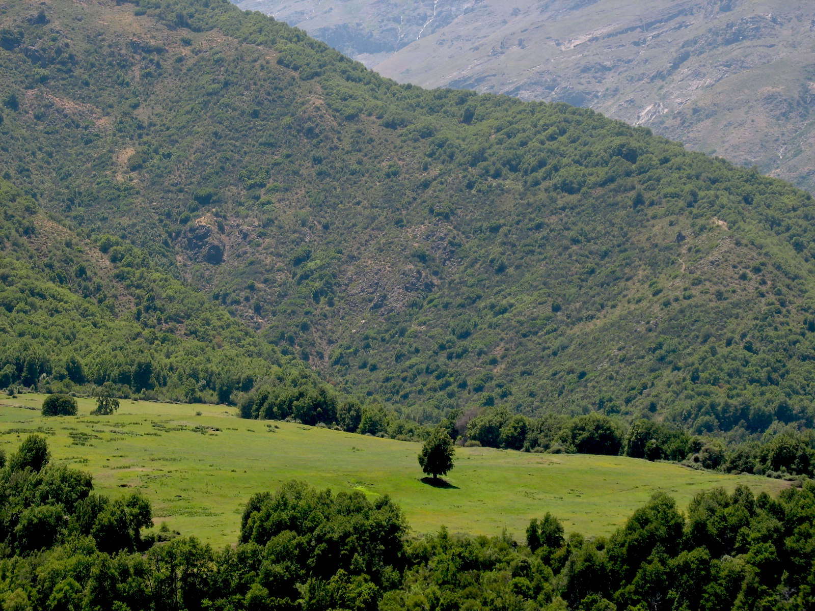 Camino a Laguna Teno