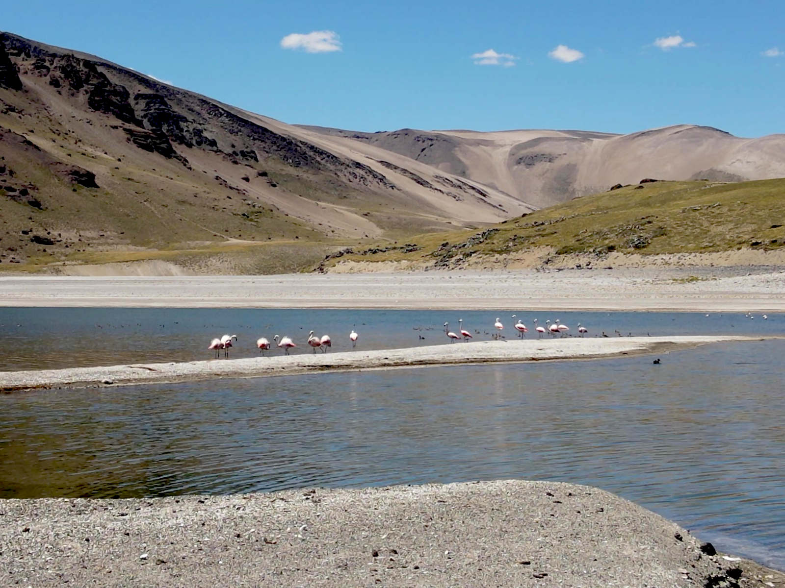 Laguna Maule