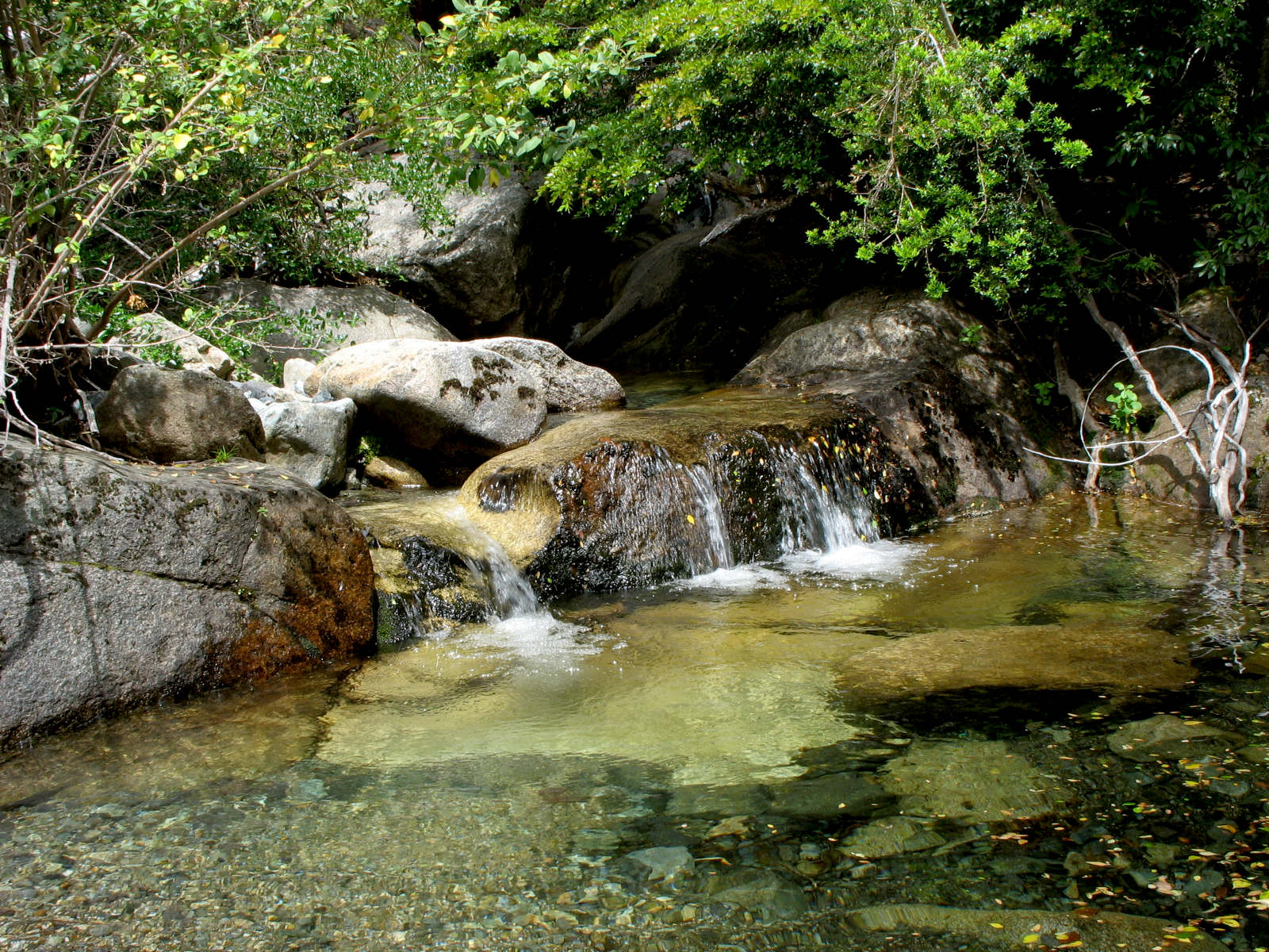 Vilches, Reserva