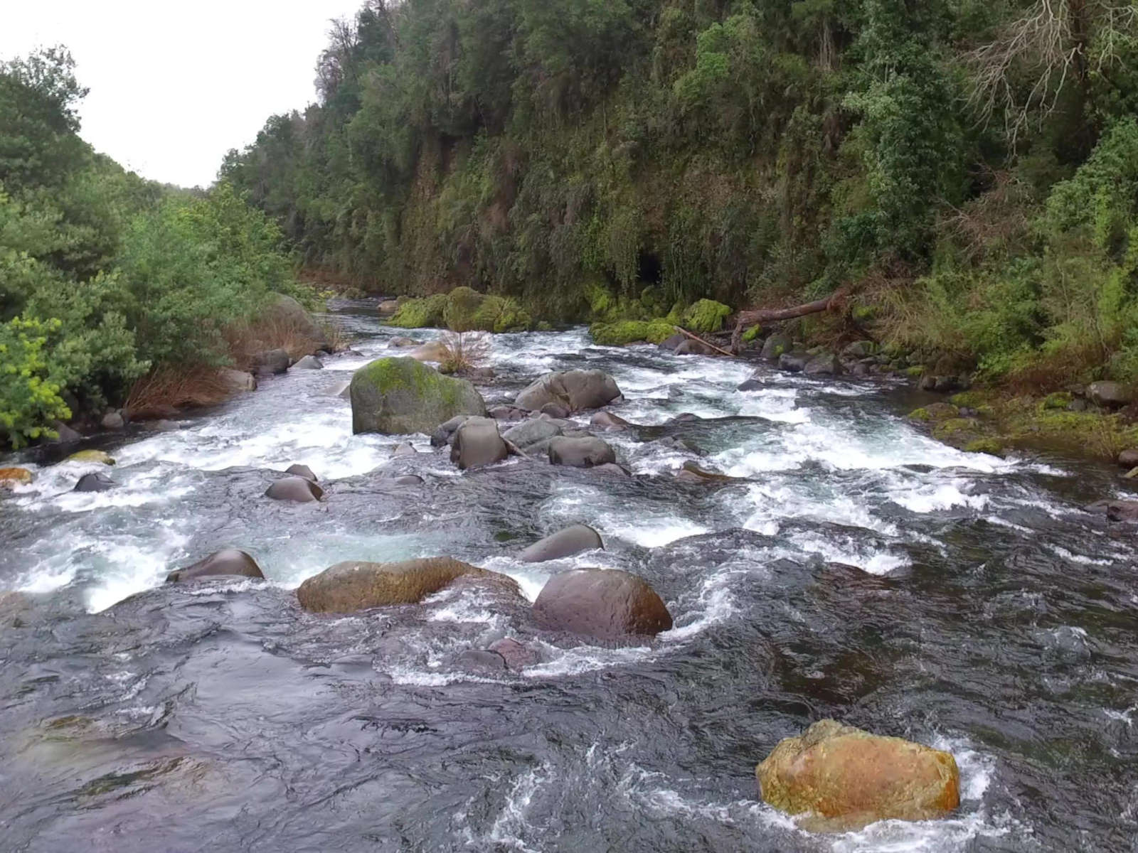 Río Claro, puente Pancho