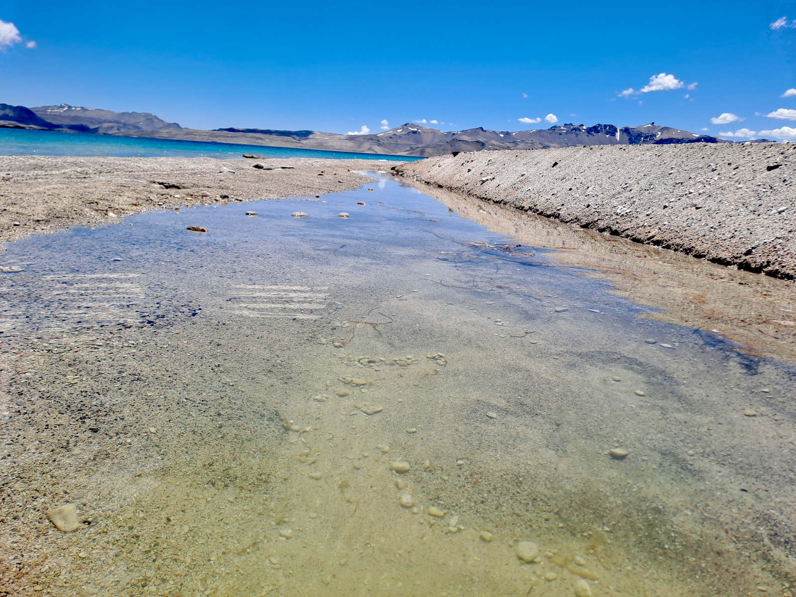 Laguna Maule