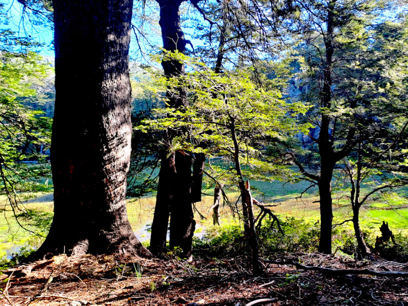 Vilches, Reserva, Majadillas